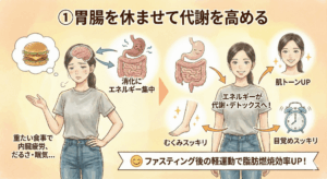 消化器官を休ませることで、代謝やデトックス機能が高まっている様子のイメージ