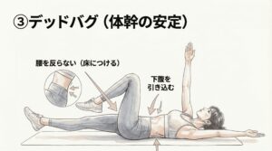 デッドバグ・体幹トレーニングのやり方