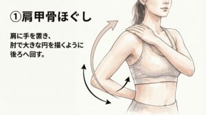肩甲骨ほぐし・回し運動の図解