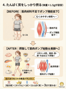 たんぱく質摂取による筋肉ポンプ効果とむくみ改善の図解