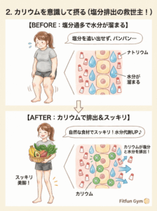カリウムの働きと塩分排出のメカニズム図解