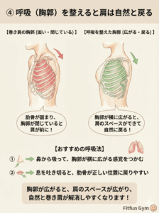 深い呼吸で胸郭を広げ、肩の位置を戻す方法の図解