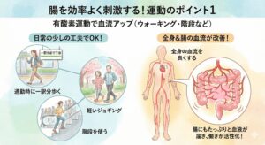 ウォーキングや階段利用などの有酸素運動が全身の血流を促し、腸の働きを活性化させる仕組みのイラスト