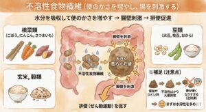 不溶性食物繊維の働きと、根菜・豆類などの食材を示した水彩風イラスト