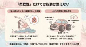 柔軟性と脂肪燃焼の違い