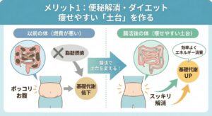腸活が痩せやすい体の土台を作るメリットを示す比較イラスト