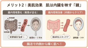 腸内環境の改善が美肌効果につながることを示したイラスト