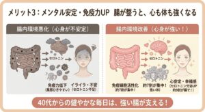 腸活によるメンタル安定と免疫力アップの効果を示したイラスト