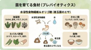 水溶性食物繊維を多く含む海藻やきのこ類のイラスト図解