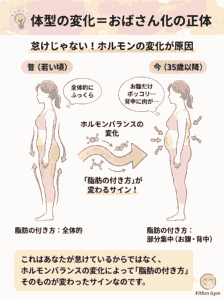 ホルモンバランスの変化による体型変化(おばさん化)のメカニズム図解