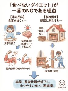 食べないダイエットが引き起こす筋肉分解(カタボリック)の図解