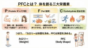 美しく痩せるための理想的なPFCバランス(黄金比)のイメージ図